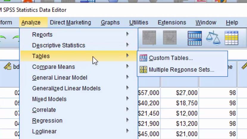 IBM SPSS 24 tampilan output tabel statistik
