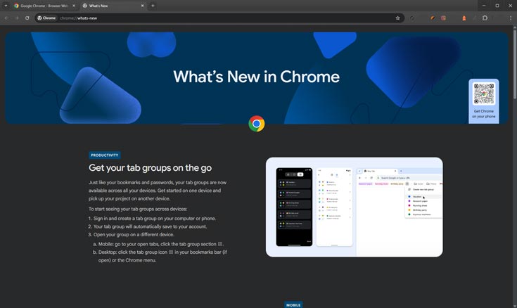 Google Chrome Download - User Interface