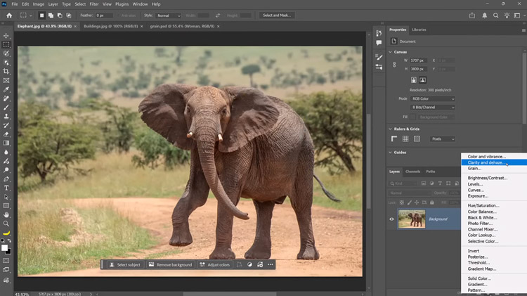 Adobe Photoshop 2026 Full Crack Terbaru ketika lagi edito foto gajah