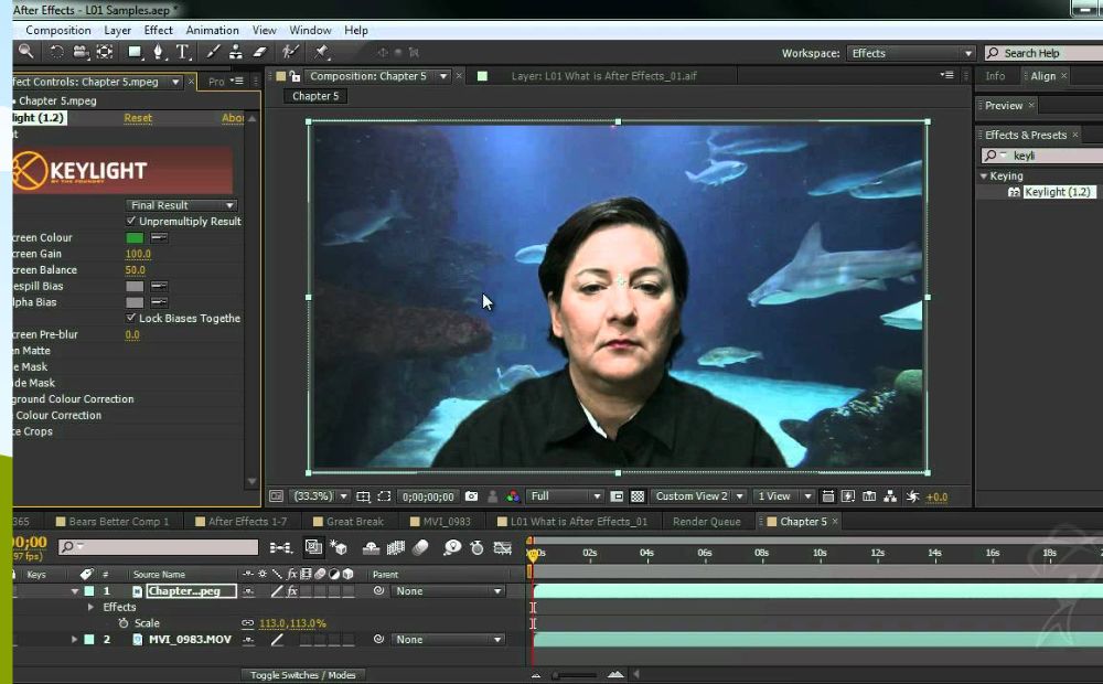 After Effects CS6 Download