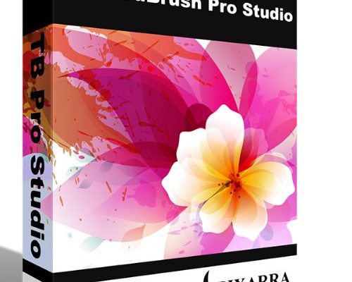 Pixarra TwistedBrush Pro Studio Full