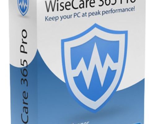 Wise Care 365 Pro Full serial key