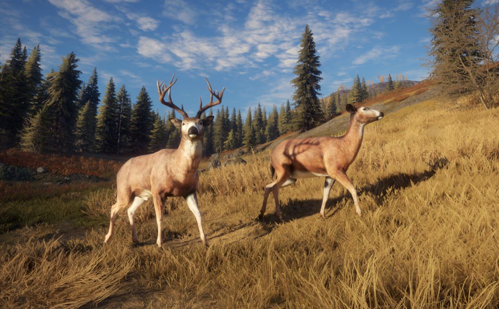 The Hunter Call Of The Wild PS4 DLC