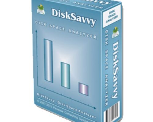 Disk Savvy