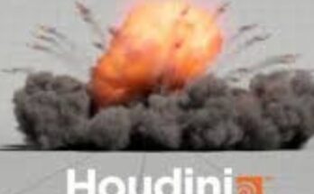 Houdini FX 19