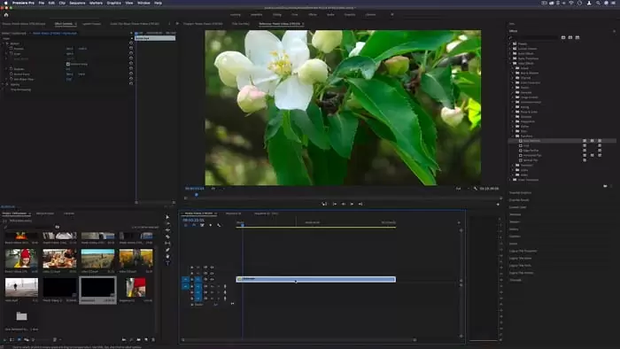 Adobe Premiere Pro 2020 Mac