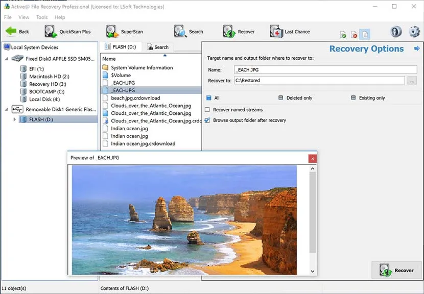 Active File Recovery Pro Corporate Full Serial