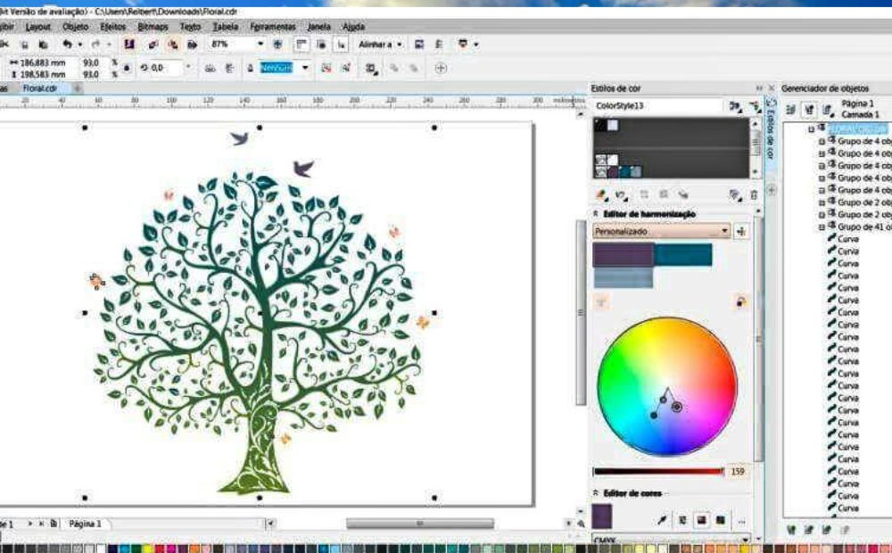 Corel Draw X8 Full Crack 