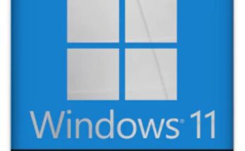 Download Windows 11 Pro Full Version