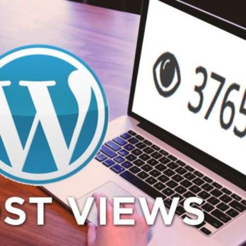 Menampilkan Post Views WordPress