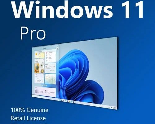 Download Windows 11 Pro 21H2